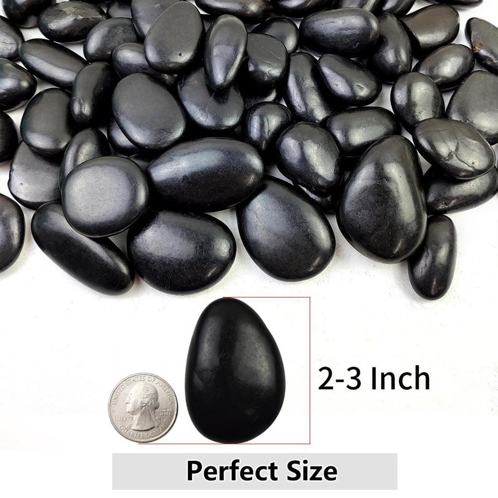 546403701